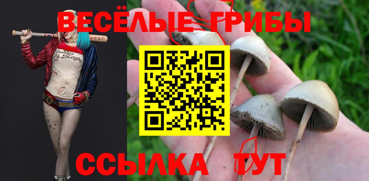 Галлюциногенные грибы ЛСД Северодвинск