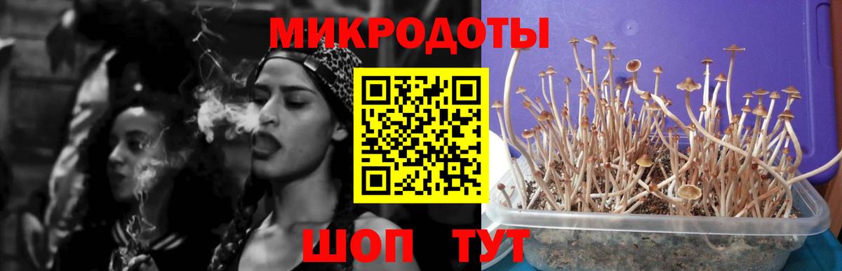 Северодвинск  Галлюциногенные грибы мухоморы  Вход с VPN 